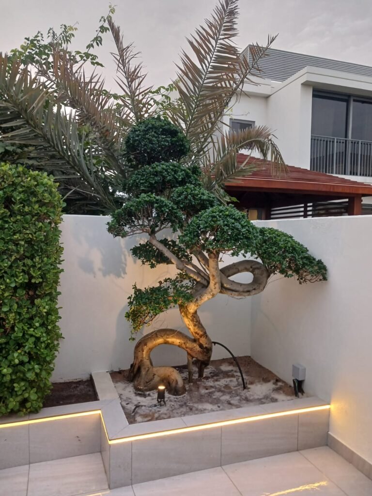 WhatsApp Image 2026 01 14 at 11.45.06 PM 1